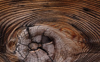 marrone texture del legno, legno segato texture, in legno marrone di sfondo con materiali naturali e texture