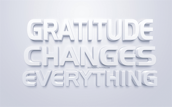 Gratitud cambia todo, populares, citas, blanco, arte 3d, fondo blanco, citas sobre la gratitud, la motivaci&#243;n, la inspiraci&#243;n, arte creativo, citas cortas