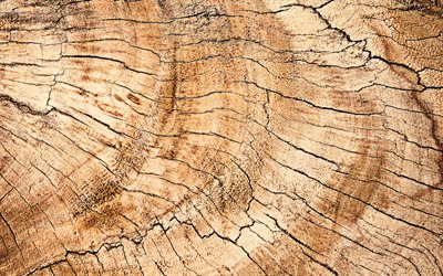 agrietada textura madera, macro, madera, antecedentes, de madera, texturas, fondo marr&#243;n, de madera clara, madera de color marr&#243;n textura