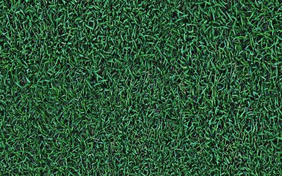l&#39;herbe verte de la texture, texture naturelle, de l&#39;herbe, de l&#39;&#233;cologie, de l&#39;herbe fond