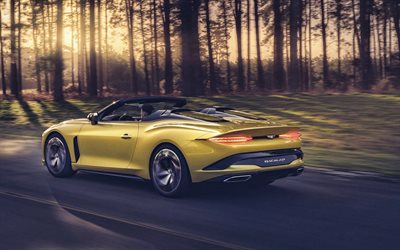 Bentley Mulliner Bacalar, 2021, ulkoa, takaa katsottuna, ylellinen keltainen avoauto, uusi keltainen Mulliner, tuning Mulliner, British autot, Bentley