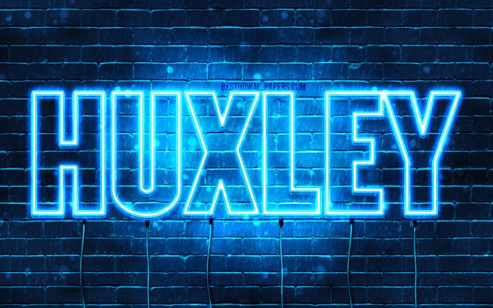 Huxley, 4k, adları Huxley adıyla, yatay metin, Huxley adı, mavi neon ışıkları, resimli duvar kağıtları