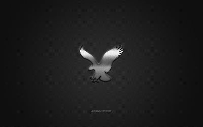 American Eagle Outfitters logo, metal emblem, black carbon texture, global apparel brands, American Eagle Outfitters, fashion concept, American Eagle Outfitters emblem