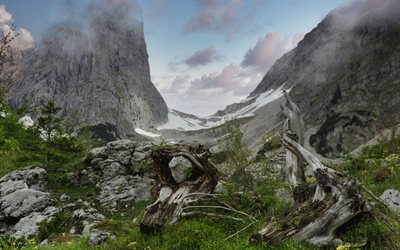 paesaggio di montagna, rocce, primavera, verde, erba, montagne, Alpi, Austria