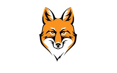 fox, cr&#233;atif, minimal, fond blanc, illustration, fox minimalisme, dessin fox