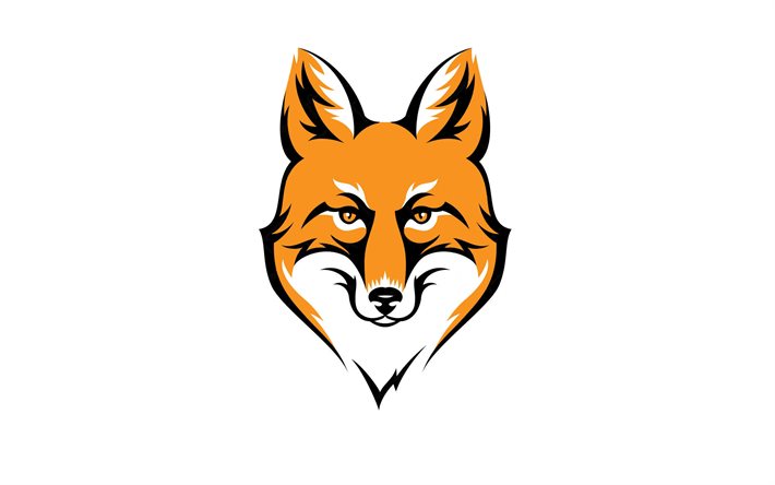 fox, yaratıcı, minimal, beyaz arka plan, sanat, minimalizm fox, fox &#231;izim