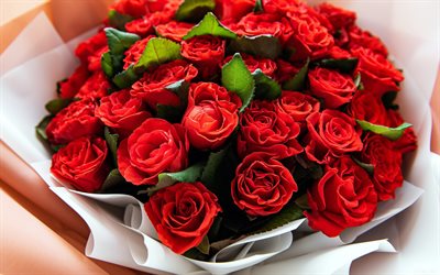 باقة من الورود الحمراء, الزهور الجميلة, باقة جميلة, الورود الحمراء, الخلفية مع الورود, باقة كبيرة من الزهور, الورود