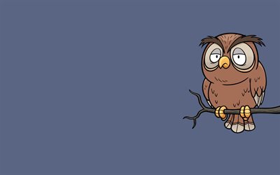 owl on tree, 4k, minimal, blue background, owl minimalism, cartoon owl, creative, owl