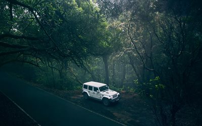 Jeep Wrangler Floresta, 2020, vista frontal, exterior, branco SUV, novo Pe&#227;o branco, os carros americanos, Jeep