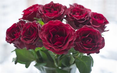 dark red roses, bouquet of roses, beautiful red flowers, roses, rosebuds, burgundy roses