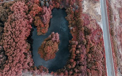 بحيرة جميلة, منظر علوي, عرض جوي, منظر من أعلى البحيرة, اخر النهار, الأشجار الحمراء, الخريف, بحيرة
