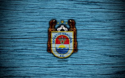 Deportivo Binacional FC, 4k, Peruvian Primera Division, soccer, football, Peru, Deportivo Binacional, football club, wooden texture, FC Deportivo Binacional