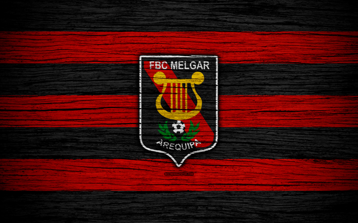 FBC Melgar FC, 4k, ペルー Primera部門, サッカー, ペルー, FBC Melgar, サッカークラブ, 木肌, FC FBC Melgar