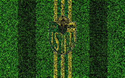 NK Istra 1961, 4k, futebol gramado, logo, Croata de futebol do clube, amarelo com linhas verdes, grama textura, HNL, Pula, Cro&#225;cia, futebol, Croata Primeira Liga De Futebol