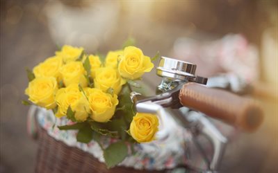 rose gialle, blur, bokeh, bicicletta, bellissimi fiori gialli, rose
