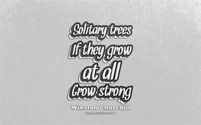 4k, Solitary trees If they grow at all Grow strong, typography, quotes about trees, Winston Churchill quotes, popular quotes, gray retro background, inspiration, Winston Churchill