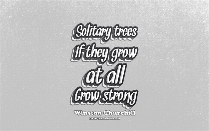 Download wallpapers 4k, Solitary trees If they grow at all Grow strong,  typography, quotes about trees, Winston Churchill quotes, popular quotes,  gray retro background, inspiration, Winston Churchill for desktop free.  Pictures for