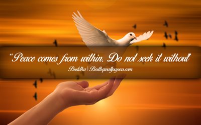 Peace comes from within Do not seek it without, Buddha, calligraphic text, quotes about Peace, Buddha quotes, inspiration, background with dove