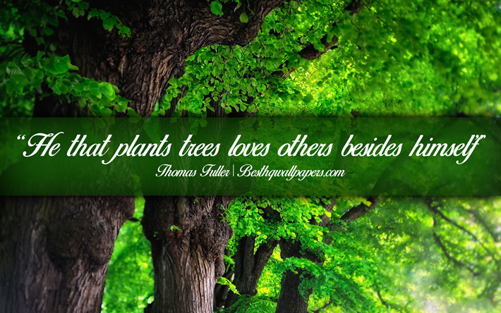 He that plants trees loves others besides himself, Thomas Fuller, calligraphic text, quotes about ecology, Thomas Fuller quotes, inspiration, nature background