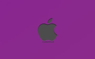 Apple, logo, fundo roxo, metalizado logotipo, emblema, arte criativa