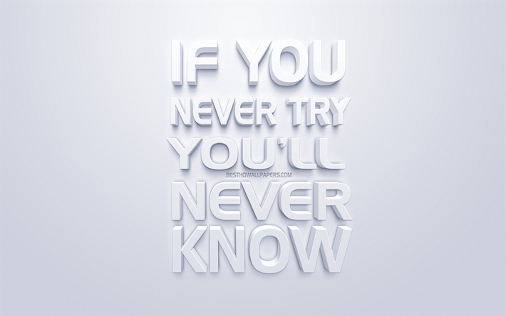 Download wallpapers If you never try you will never know, white 3d art,  popular quotes, white background, inspiration quotes for desktop free.  Pictures for desktop free