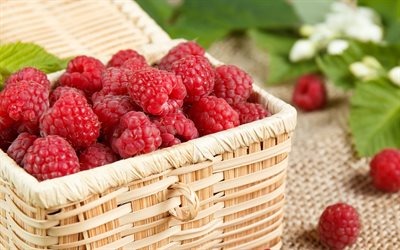 raspberries, ripe berries, raspberries in a basket, red berries