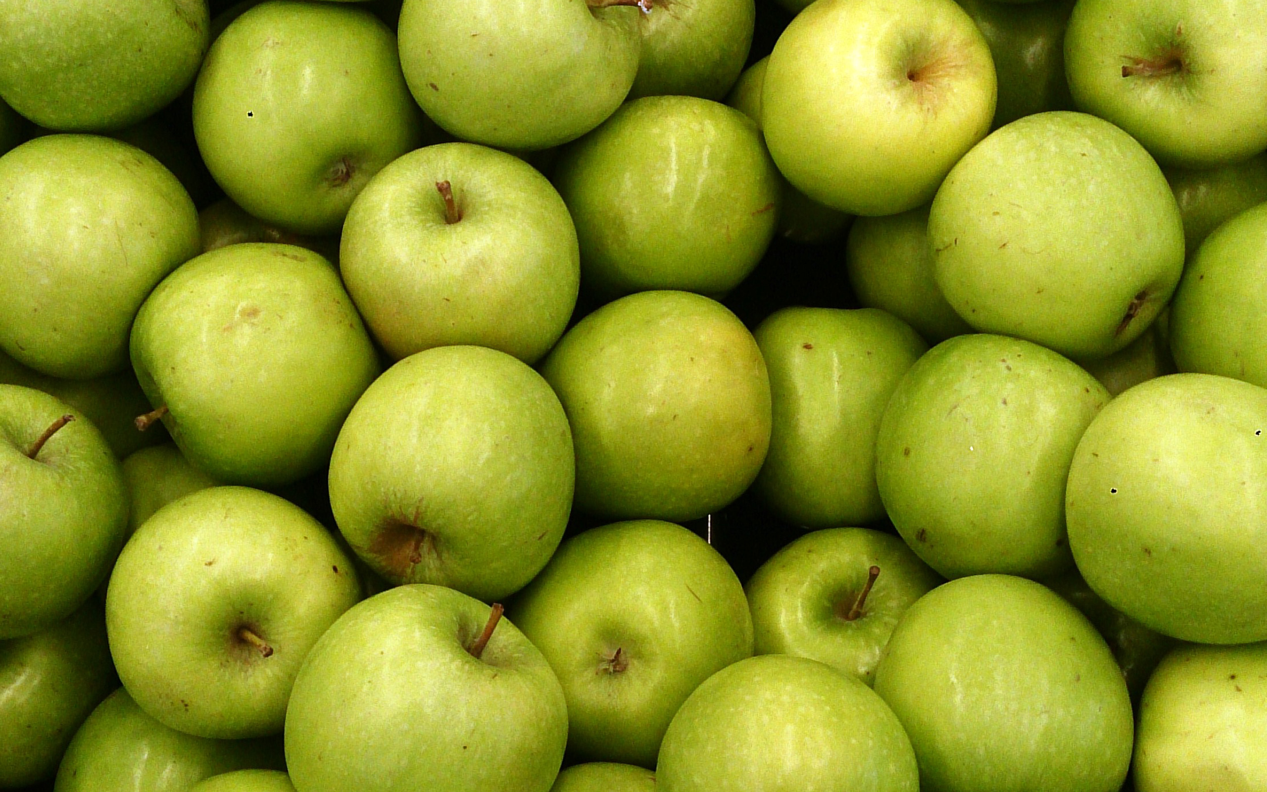 Descargar fondos de pantalla manzanas verdes, las frutas, la manzana de  fondo, las manzanas maduras, manzana textura monitor con una resolución  2560x1600. Imagenes de escritorio