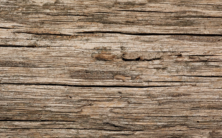 古い木材の乾燥, 灰色の木製の質感, 茶褐色の木製の背景, 古い木製ボード