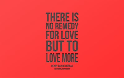 N&#227;o h&#225; rem&#233;dio para o amor, mas para amar mais, Henry David Thoreau cota&#231;&#245;es, elegante, arte, popular cota&#231;&#245;es, fundo vermelho, cita&#231;&#245;es sobre o amor