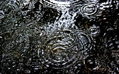 4k, raindrops on puddle, rain, water drops, water textures, water