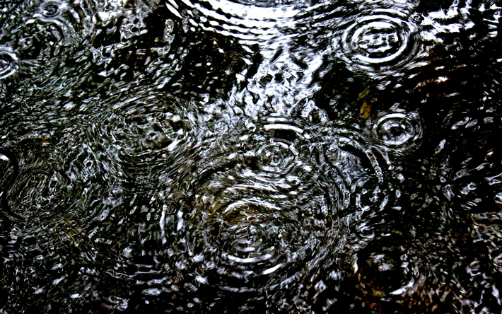 4k, 雨に水溜まり, 雨, 水滴, 水質感, 水