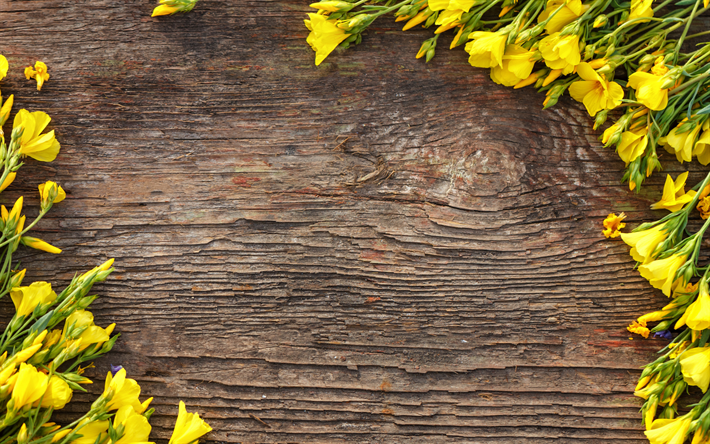 yellow flower frame, yellow daffodils, dark wooden background, wooden texture, spring flowers