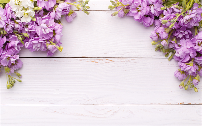 frame of purple flowers, spring frame, white wooden background, wooden texture, spring