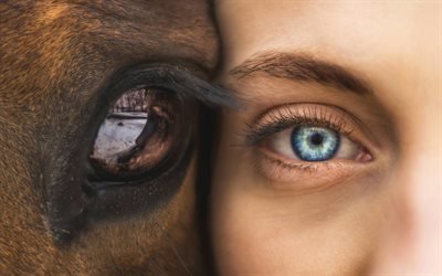 الصداقة المفاهيم, 4k, الرجل والحصان, حب الخيول, عيون, الصداقة, حب الحيوانات, الإنسانية