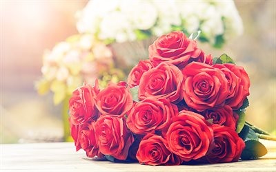 4k, rosas vermelhas, buqu&#234;, close-up, flores vermelhas, bokeh, rosas