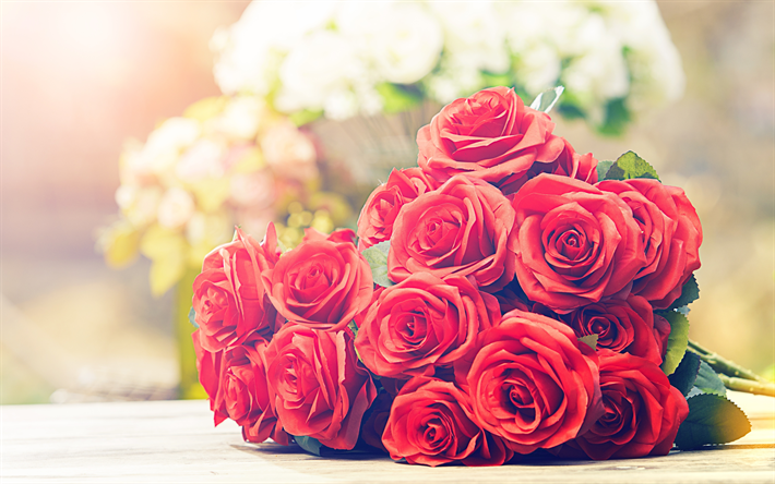 4k, rosas rojas, ramo de flores, close-up, flores rojas, bokeh, rosas