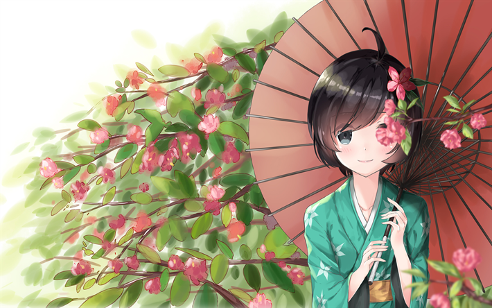 Şemsiye ile Tsukihi Araragi, manga, kimono, Bakemonogatari, Araragi Tsukihi, kız