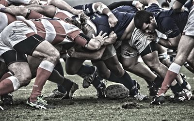 rugby, England, team sports, match, wrestling