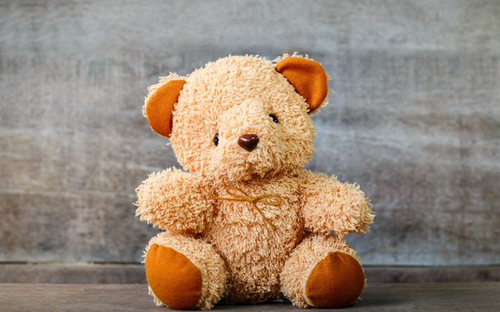 little teddy bear, cute toys, gift, brown bear cub, gray background