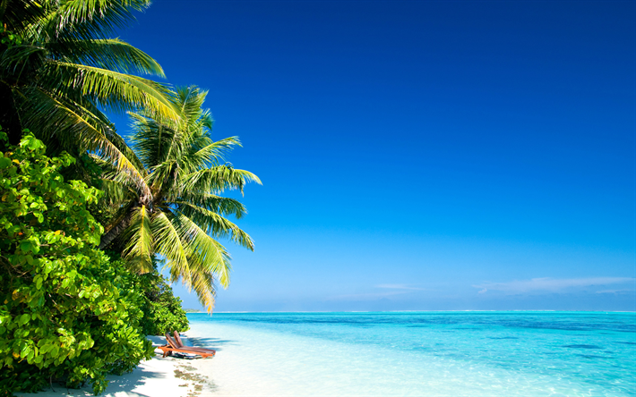 tropical island, beach, azure, waves, palm trees, coast, ocean, summer travel concepts, sand