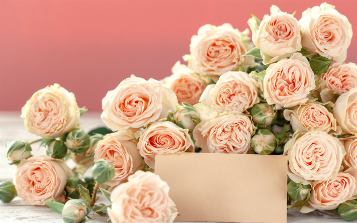 les roses orange, grand beau bouquet de roses, une carte de f&#233;licitations, d&#39;arri&#232;re-plan avec des roses