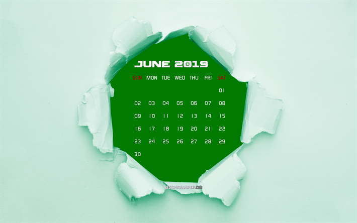 4k, Juni 2019 Kalender, gr&#246;nt trasigt papper, 2019 juni kalender, gr&#246;nboken bakgrund, kreativa, Juni 2019 kalender med s&#246;nderrivna papper, Kalendern Juni 2019, Juni 2019, 2019 kalendrar