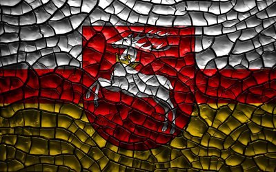Flag of Lubelskie, 4k, polish voivodeships, cracked soil, Poland, Lubelskie flag, 3D art, Lubelskie, Voivodeships of Poland, administrative districts, Lubelskie 3D flag, Europe