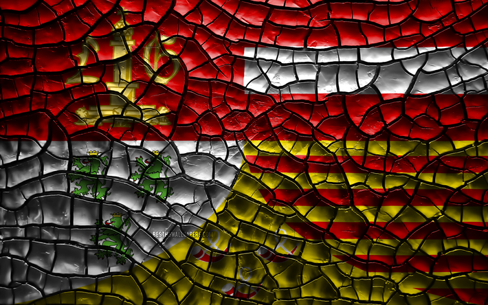 Flag of Liege, 4k, belgian provinces, cracked soil, Belgium, Liege flag, 3D art, Liege, Provinces of Belgium, administrative districts, Liege 3D flag, Europe