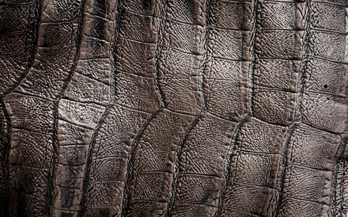 textura de couro marrom, 4k, texturas de couro, close-up, brown fundos, couro fundos, macro, couro