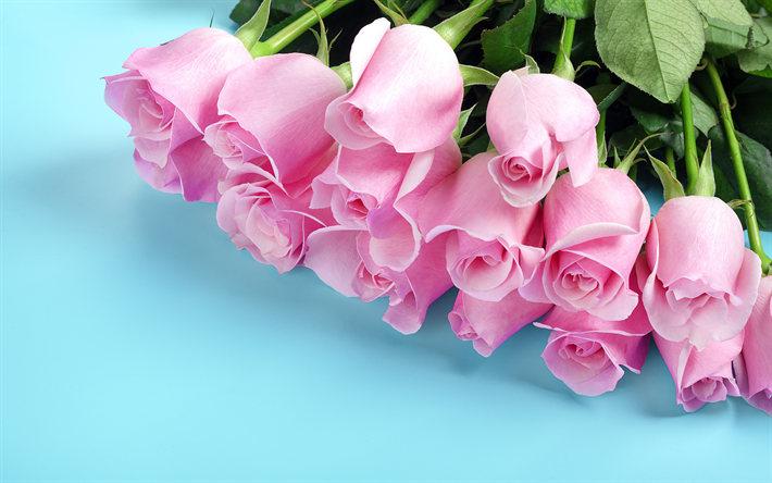 rosas de color rosa, azul, fondo, gran ramo de rosas de color rosa, hermosas flores de color rosa, las rosas