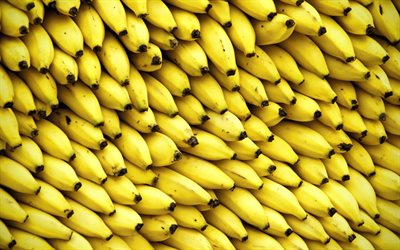 banaanit, tuoreita hedelmi&#228;, kypsi&#228; banaaneja, nippu banaaneja, trooppisia hedelmi&#228;, banaani vuori, hedelm&#228;t