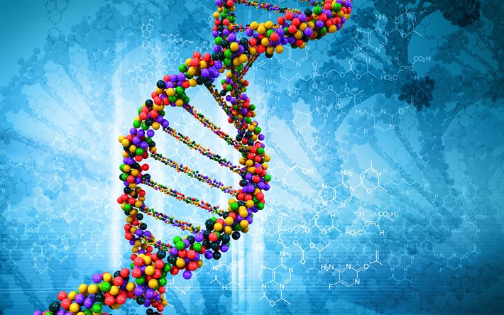 DNA分子, 4k, 3Dアート, デオキシリボ核酸, 核酸構造体, DNA, 青色の背景の科学, 化学青色の背景, 科学の概念, 背景DNA