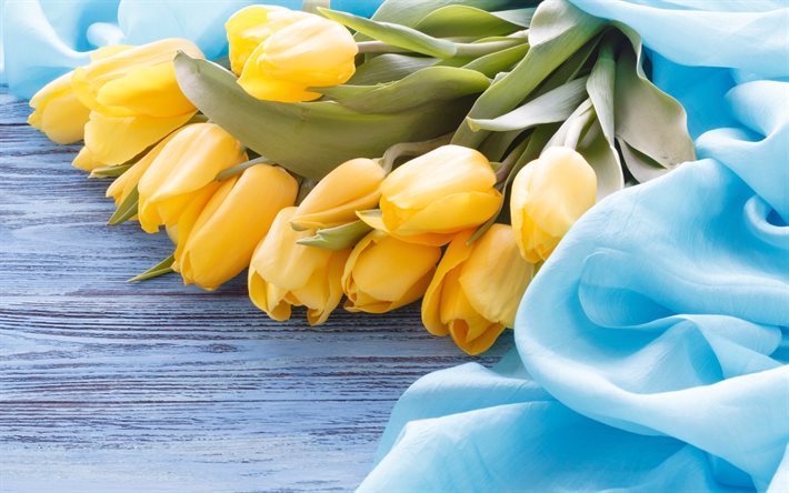 tulipes jaunes, bleu tissu de soie, bouquet de tulipes, fleurs jaunes, fleurs de printemps, les tulipes
