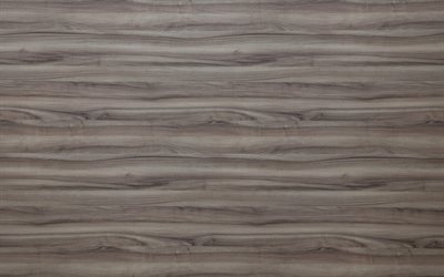4k, gray walnut board, macro, gray wooden texture, hazel textures, gray walnut, gray wood, wooden textures, gray backgrounds, wooden backgrounds